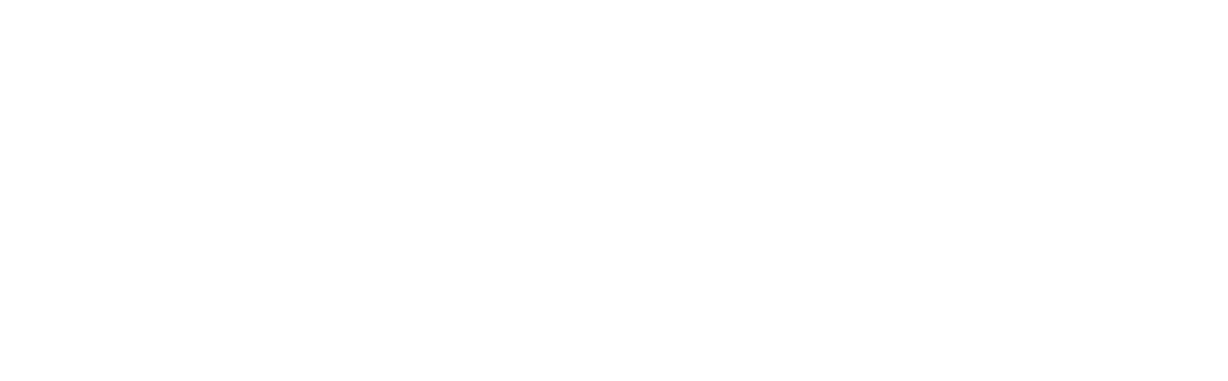 repubblica digitale